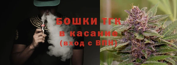 индика Заволжск