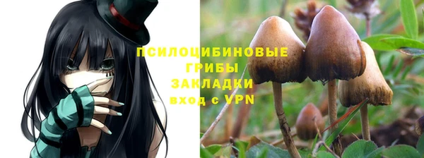 индика Заволжск