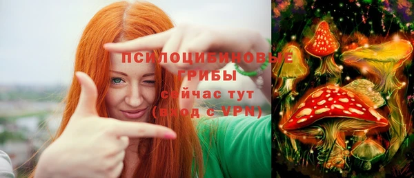 индика Заволжск