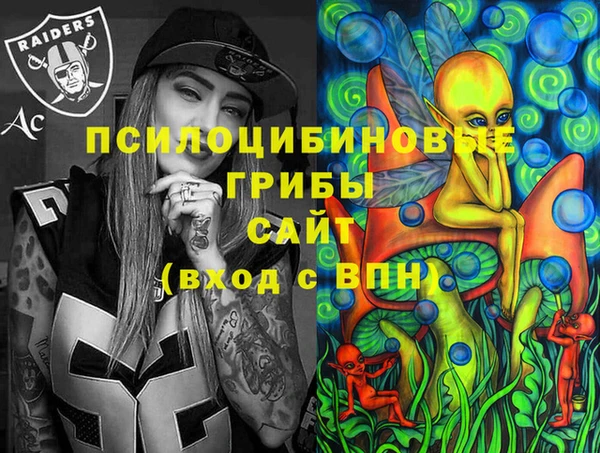 амф Заводоуковск