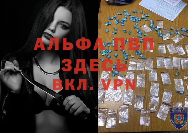 индика Заволжск