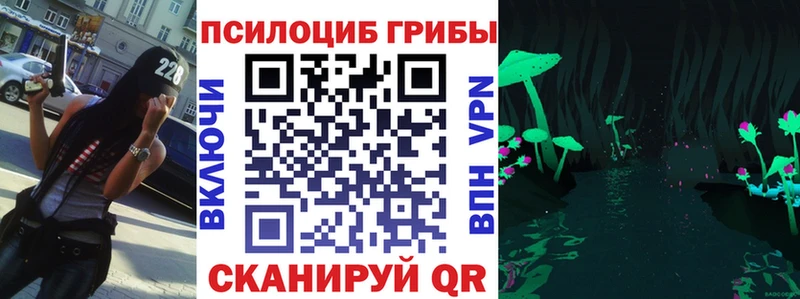 хочу   Зея  Галлюциногенные грибы Magic Shrooms 